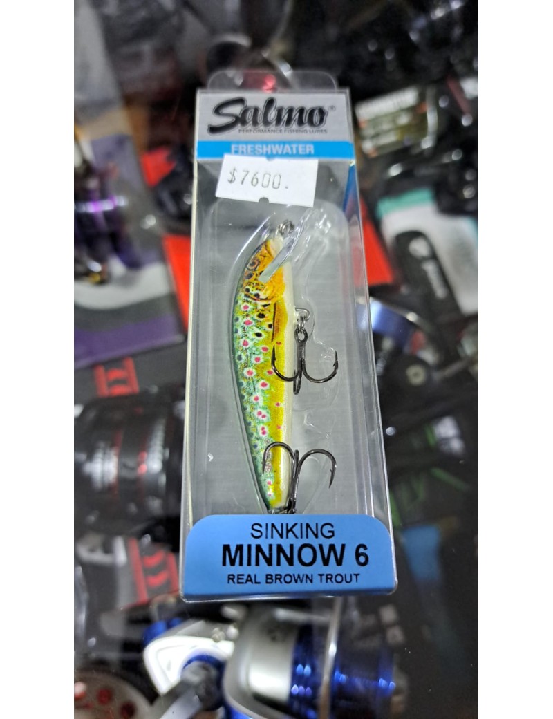 SALMO MINNOW 6 REAL BROWN TROUT SINKING